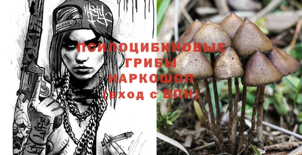 дмт Лабытнанги