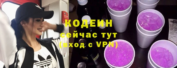 дмт Лабытнанги