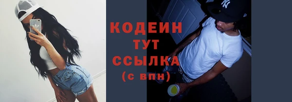 дмт Лабытнанги
