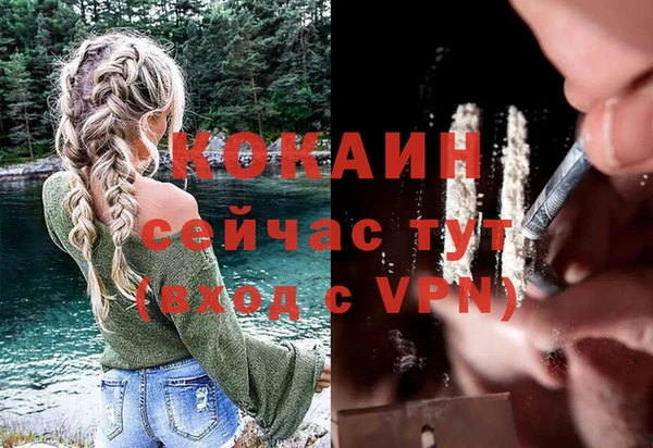 Альфа ПВП Ладушкин