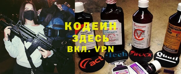 дмт Лабытнанги