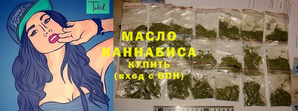 дмт Лабытнанги
