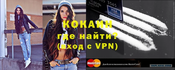 дмт Лабытнанги
