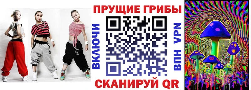 Псилоцибиновые грибы Psilocybine cubensis  Новотитаровская 